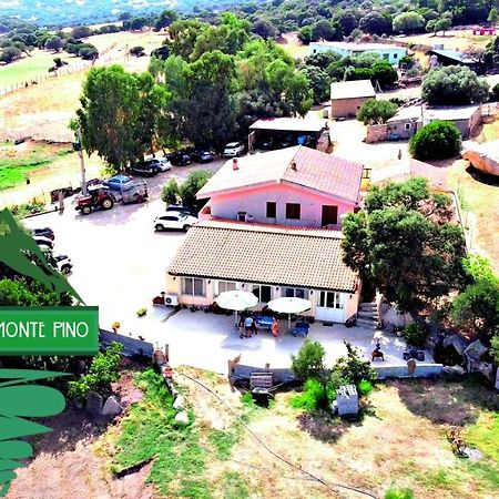 Agriturismo Monte Pino Telti Eksteriør billede