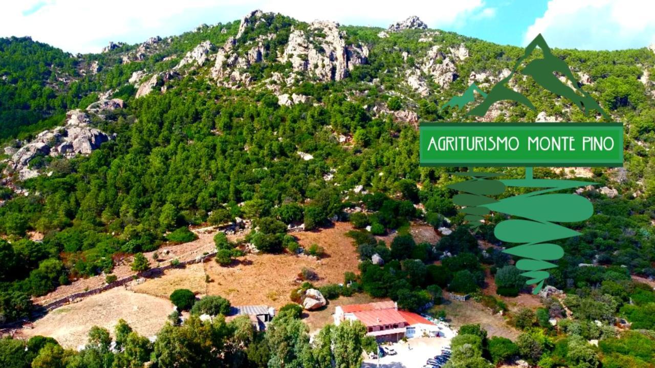 Agriturismo Monte Pino Telti Eksteriør billede