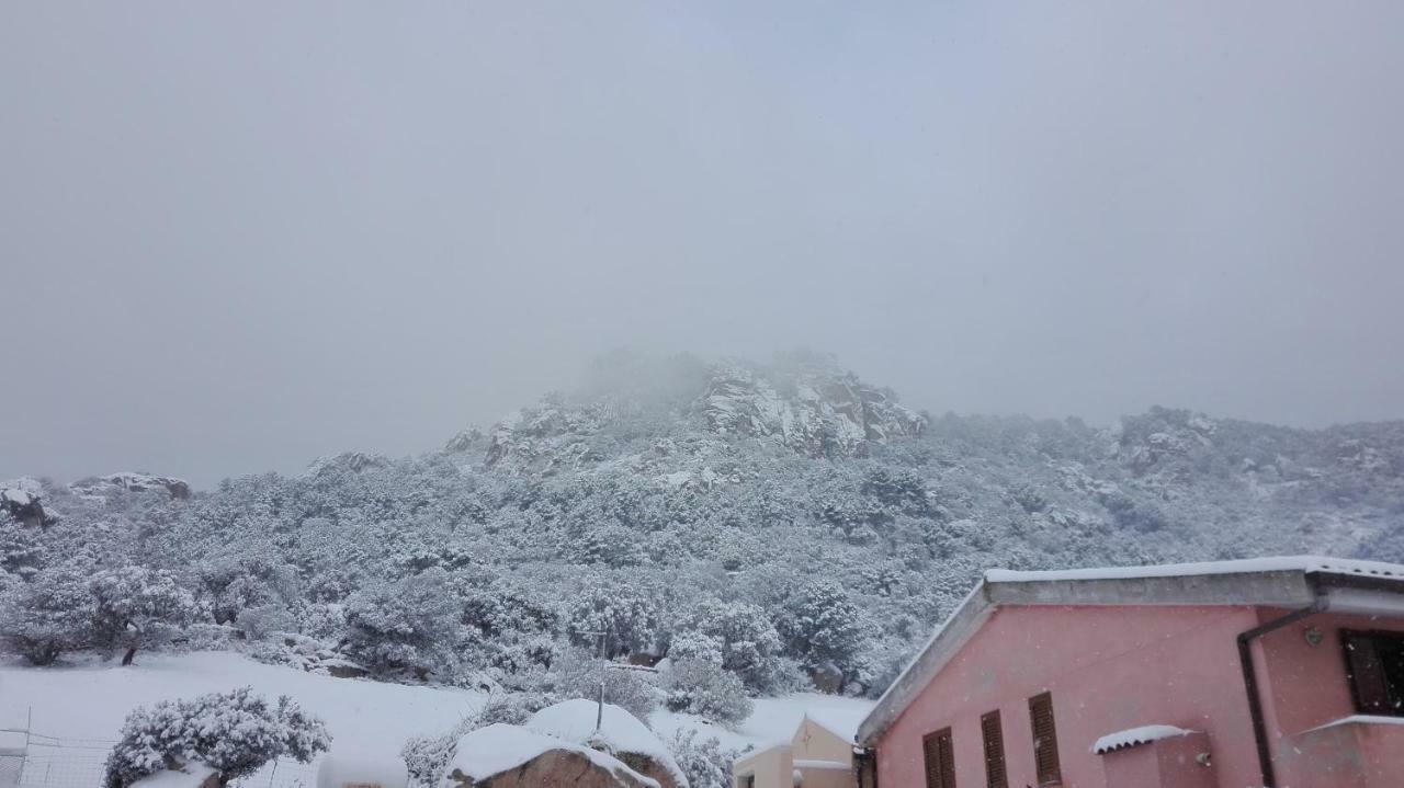 Agriturismo Monte Pino Telti Eksteriør billede
