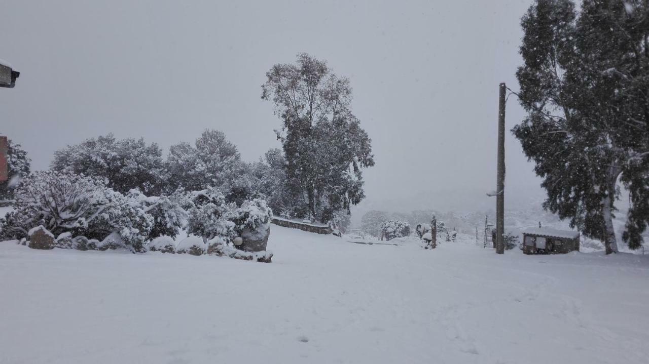 Agriturismo Monte Pino Telti Eksteriør billede