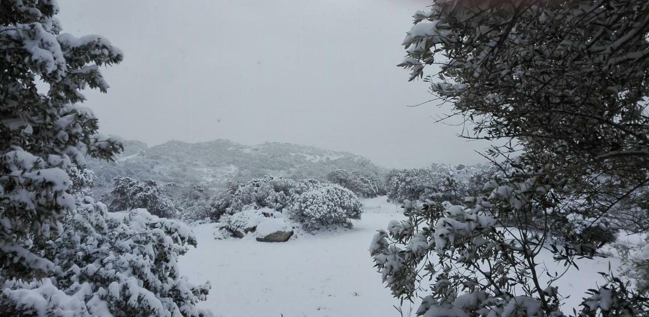 Agriturismo Monte Pino Telti Eksteriør billede