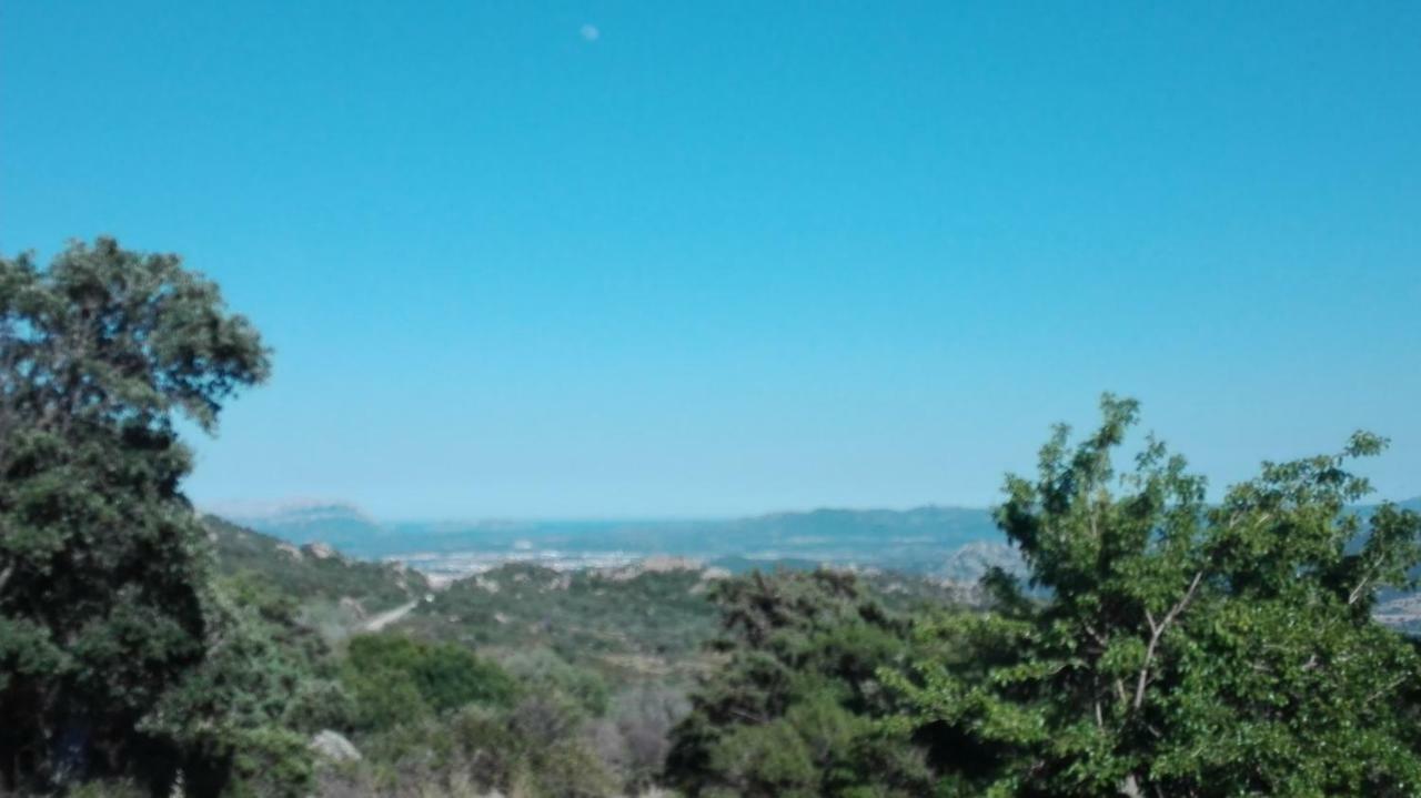 Agriturismo Monte Pino Telti Eksteriør billede